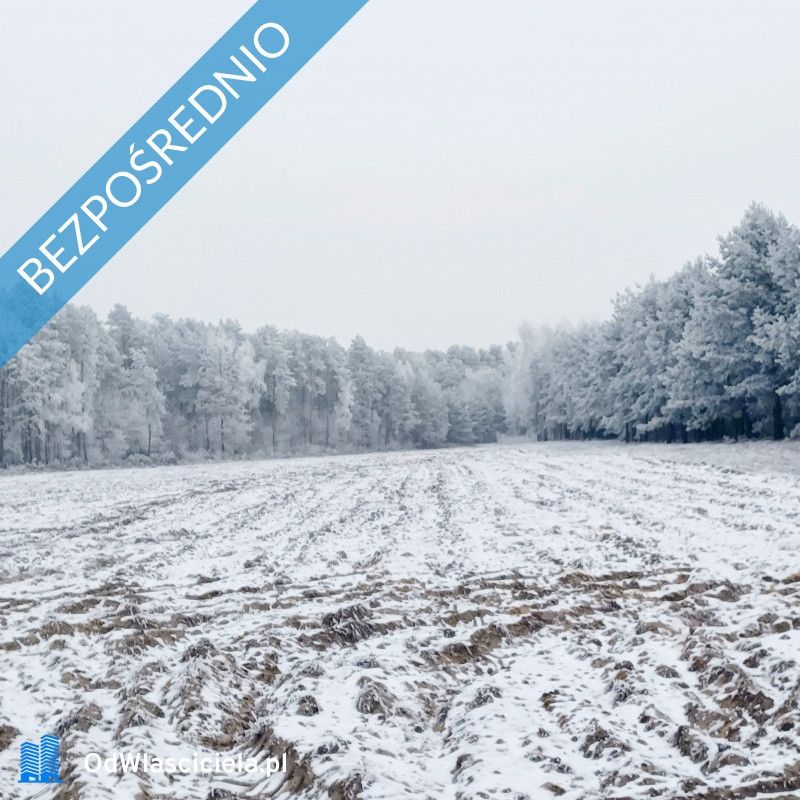 siedlisko, 3 pokoje Stromiec. Zdjęcie 11