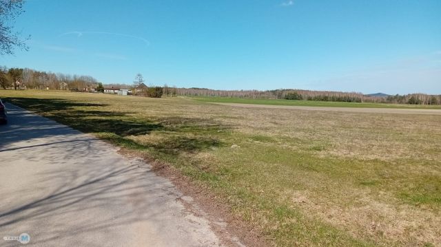 Działka leśna Strawczyn. Zdjęcie 2