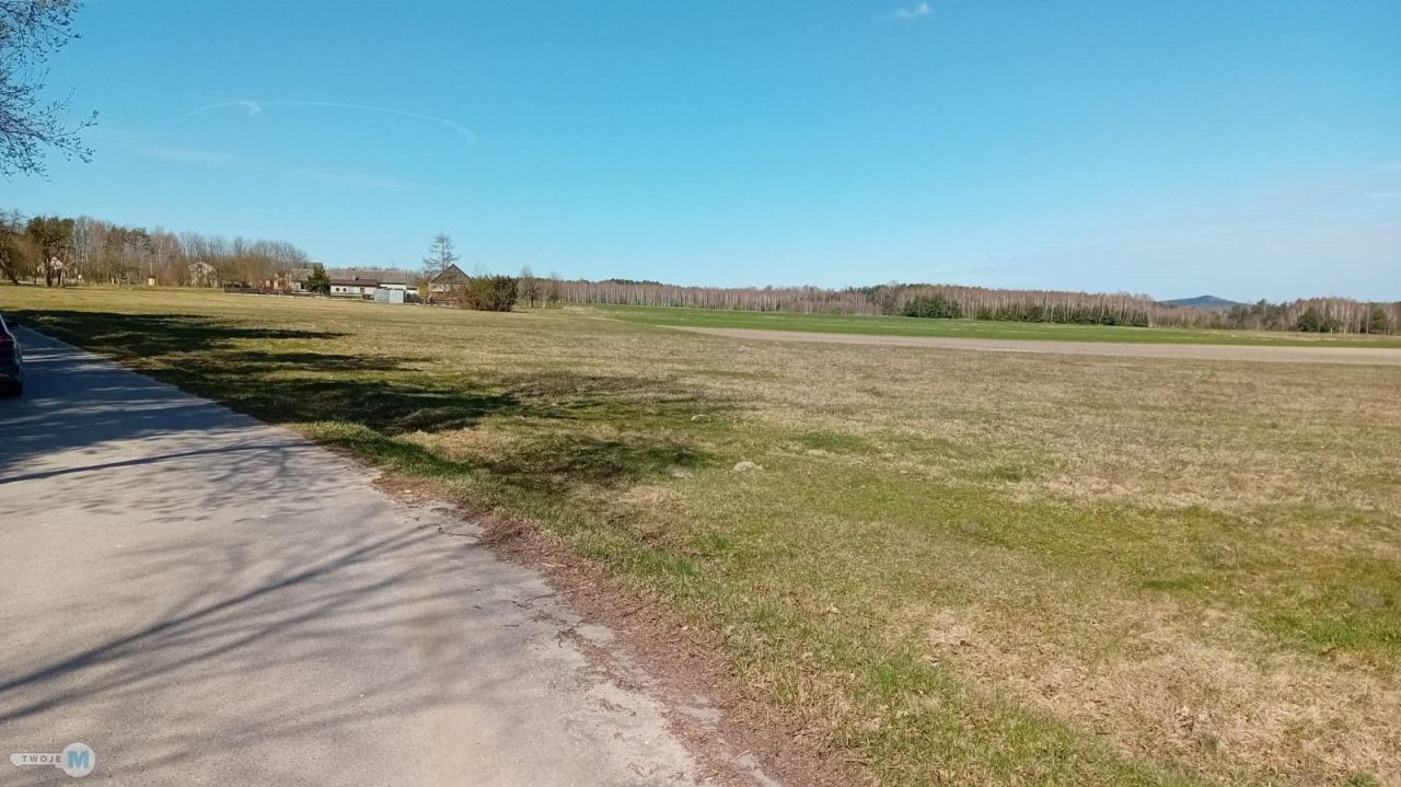 Działka leśna Strawczyn. Zdjęcie 2