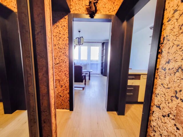 Mieszkanie 1-pokojowe Katowice Piotrowice, ul. Tadeusza Kościuszki. Zdjęcie 6