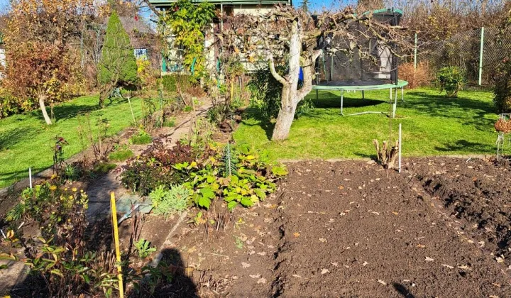 Działka rod Lubin, ul. Spacerowa