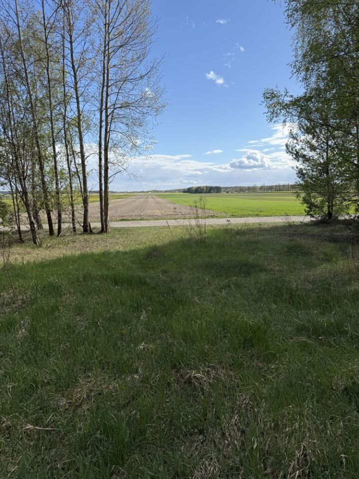 Działka rolno-budowlana Pokinianka. Zdjęcie 6