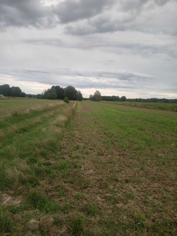 Działka rolna Tułowice. Zdjęcie 1