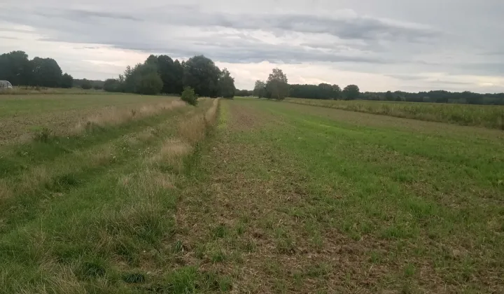 Działka rolna Tułowice