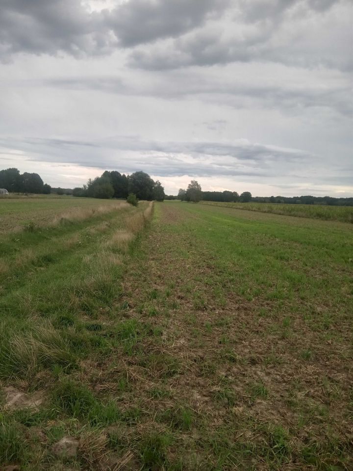 Działka rolna Tułowice. Zdjęcie 1