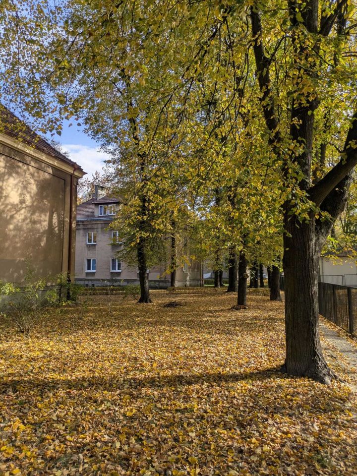 Mieszkanie 2-pokojowe Kraków Nowa Huta, os. Sportowe. Zdjęcie 8