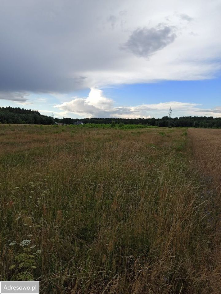 Działka budowlana Kamieńczyk. Zdjęcie 4