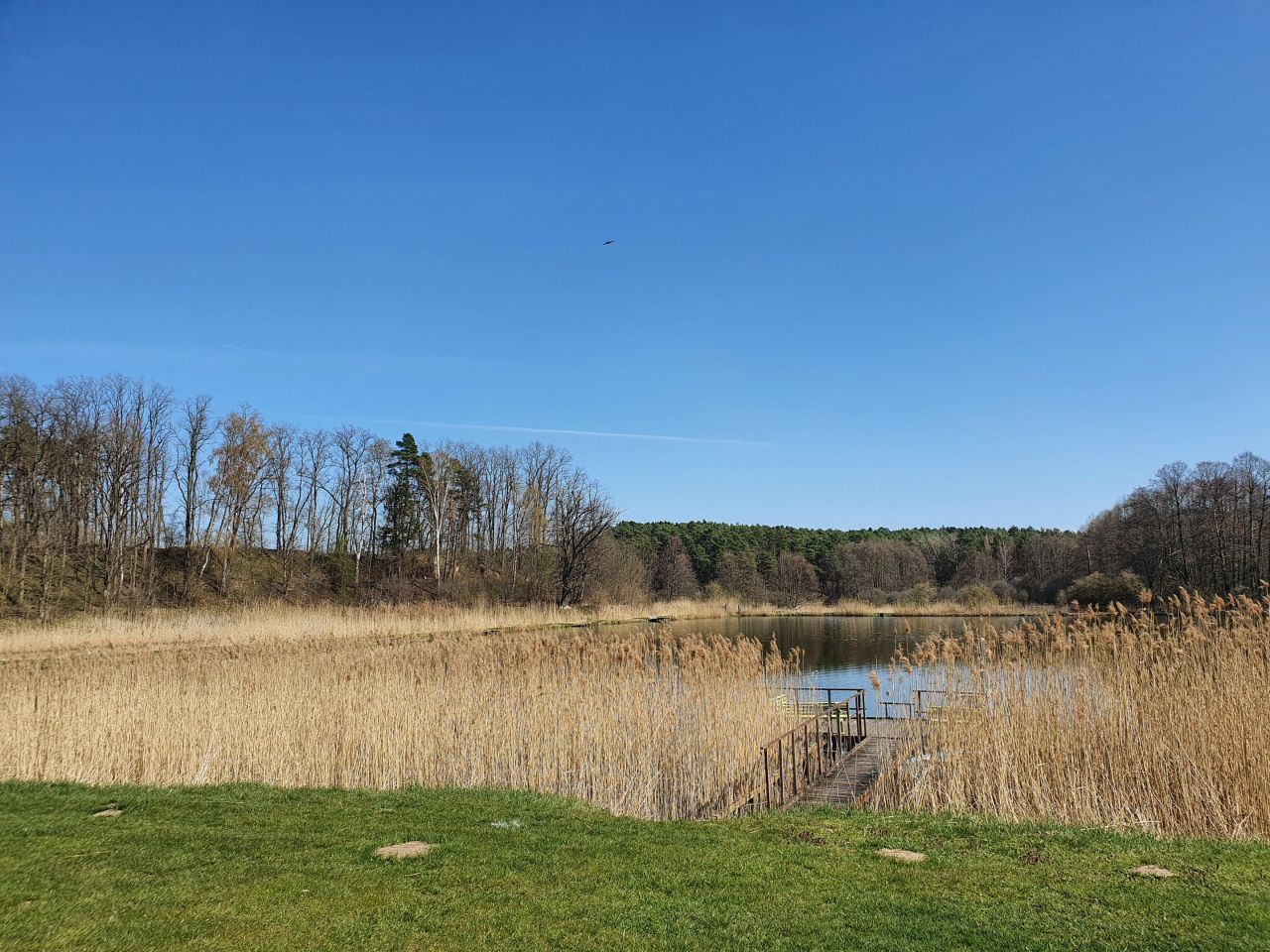 Działka rolna Bledzew Tymiana, ul. Tymiany. Zdjęcie 36