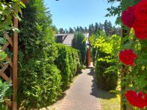 Działka rod Lisów, ul. Leśna. Zdjęcie 3