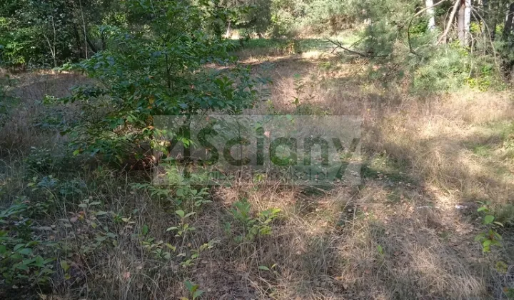 Działka budowlana Chotomów