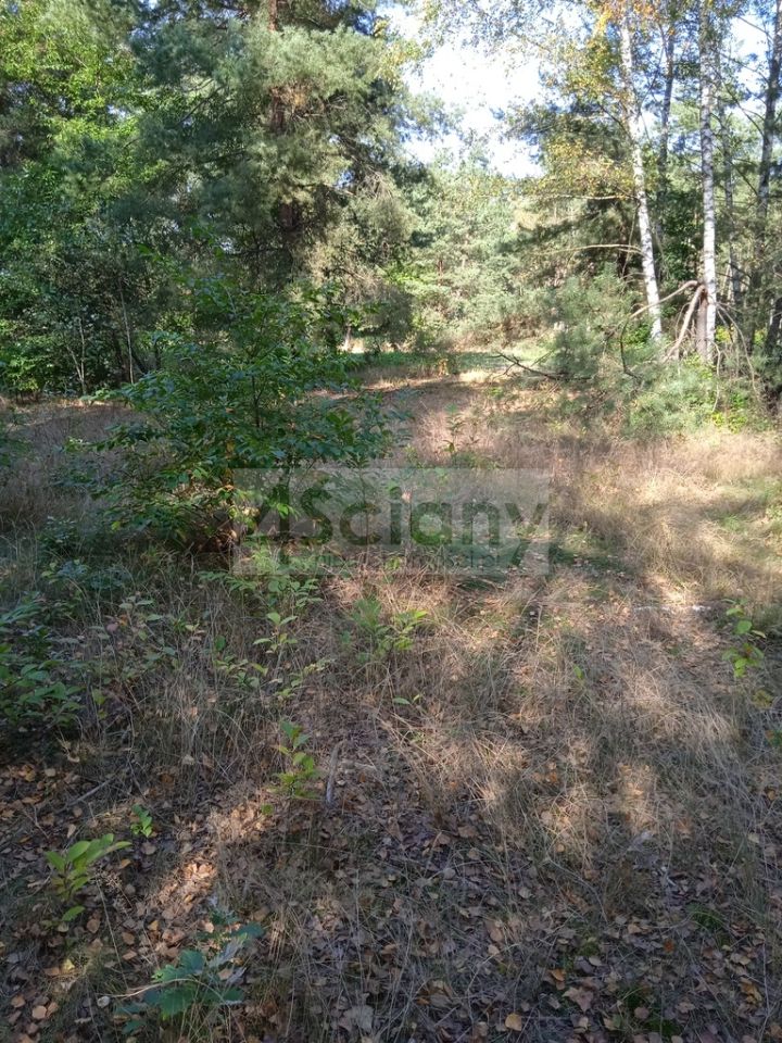 Działka budowlana Chotomów