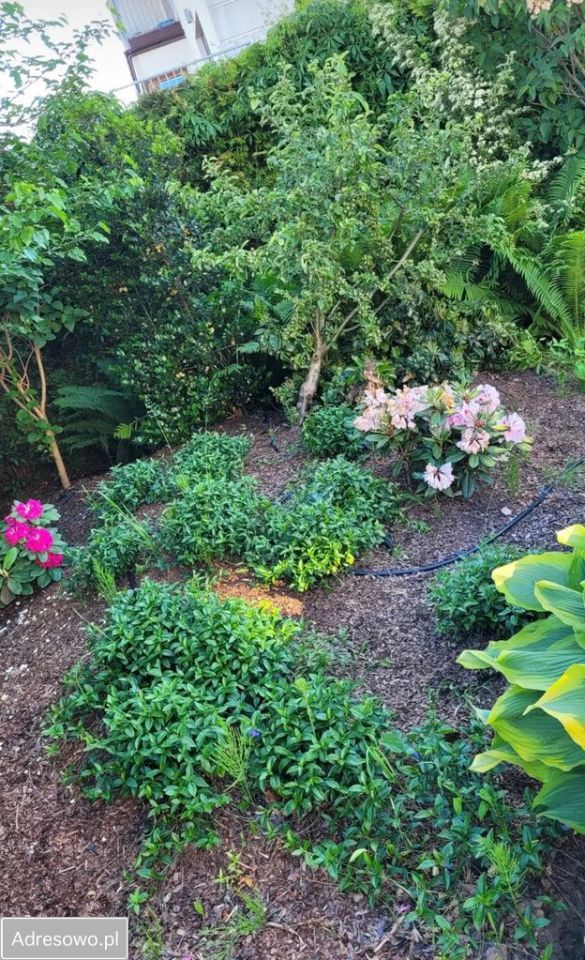 dom wolnostojący, 4 pokoje Warszawa Wawer, ul. Poprawna. Zdjęcie 7