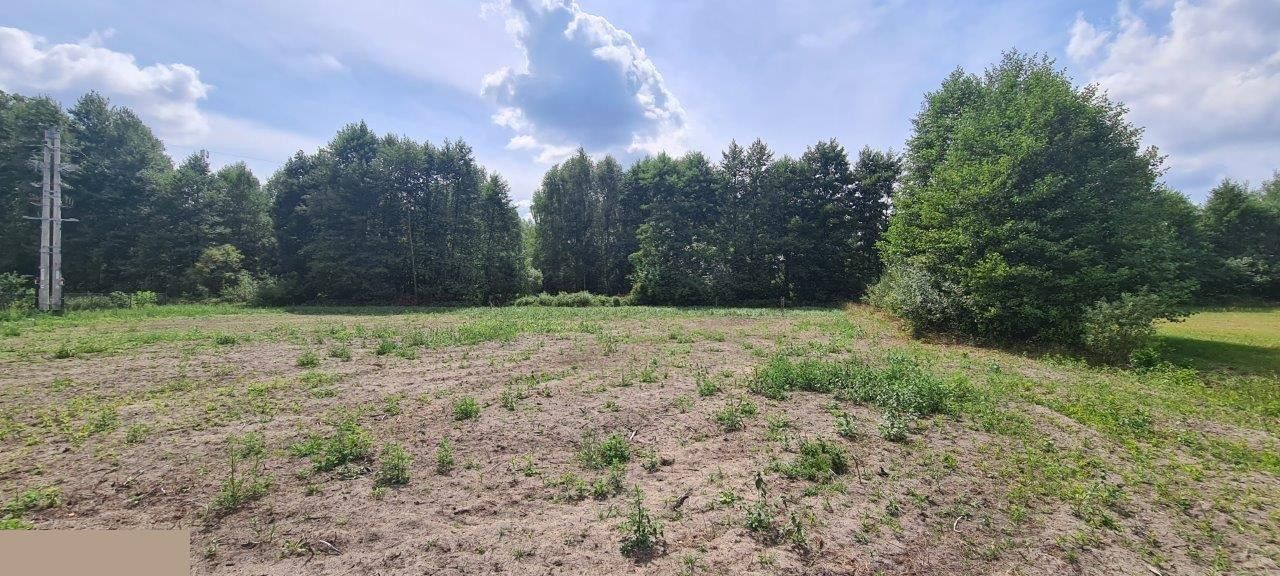 Działka rolno-budowlana Franciszków. Zdjęcie 5