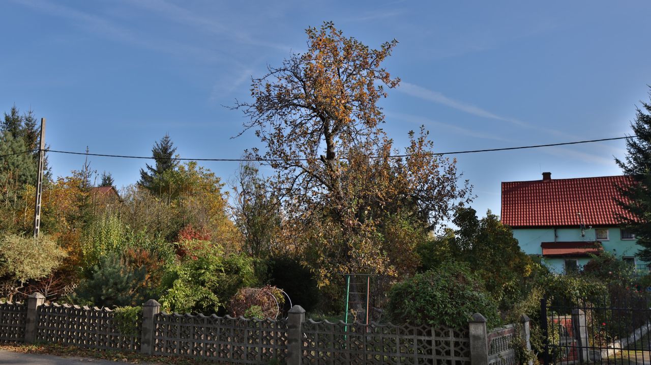 bliźniak, 3 pokoje Suszki. Zdjęcie 18
