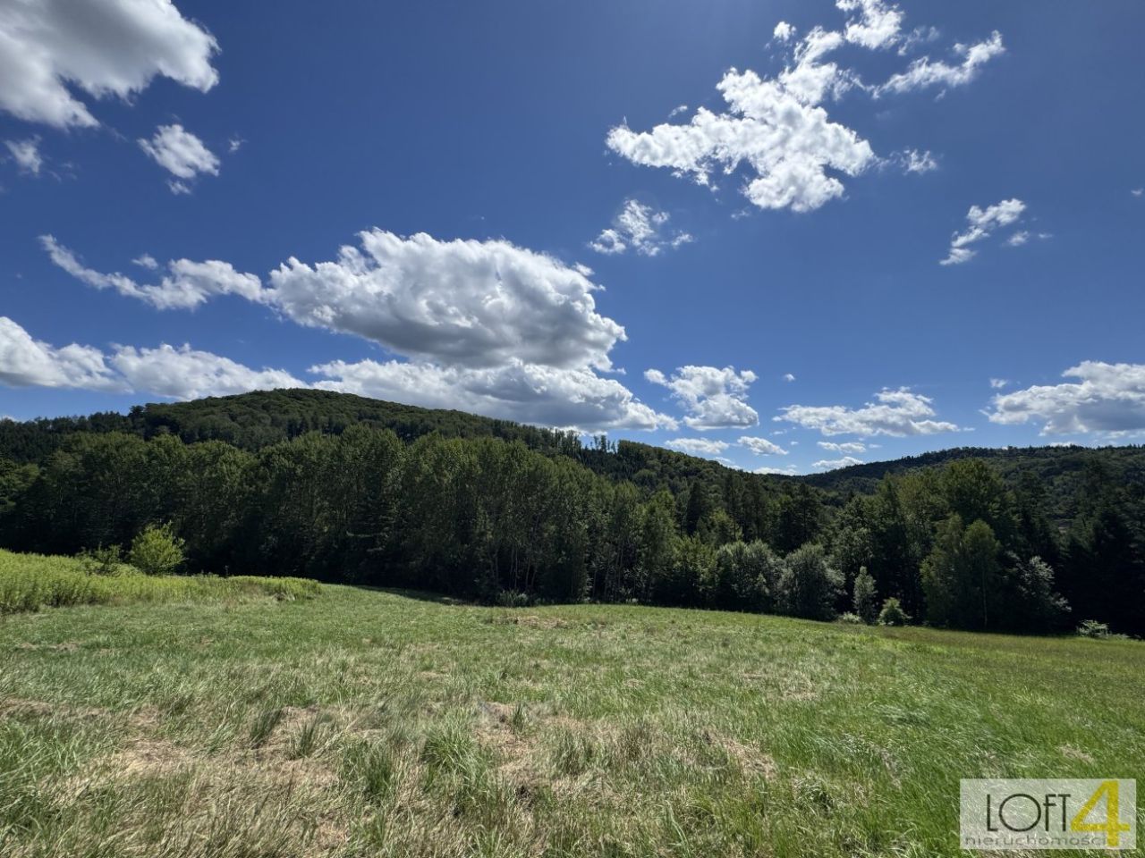 Działka budowlana Paleśnica. Zdjęcie 8