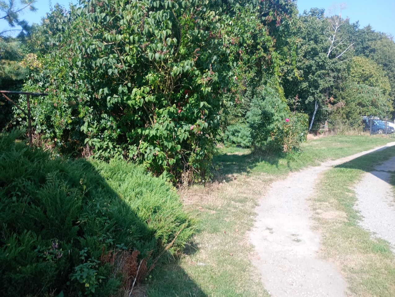 siedlisko, 3 pokoje Podzamcze. Zdjęcie 2