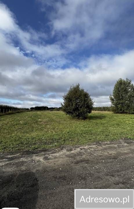 Działka budowlana Całowanie. Zdjęcie 3