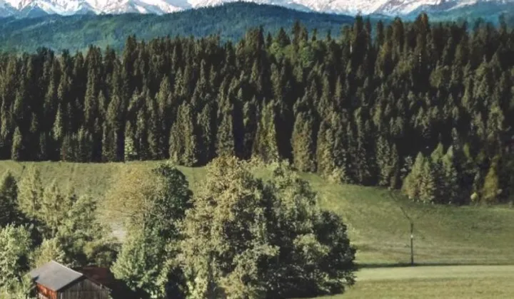 Działka siedliskowa Łapsze Niżne Za Czarną Górą, ul. Czarna