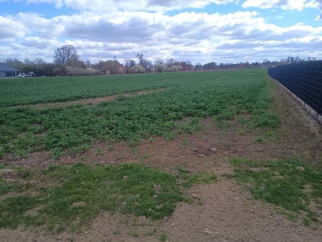 Działka budowlana Kraśnik Górny. Zdjęcie 2
