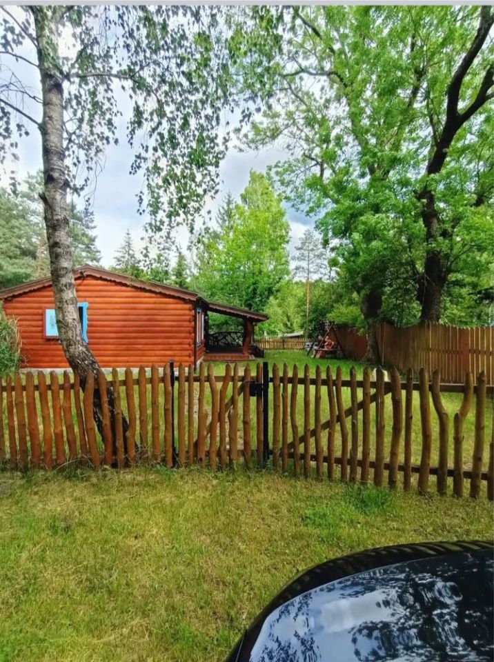Działka rekreacyjna Rybno. Zdjęcie 8