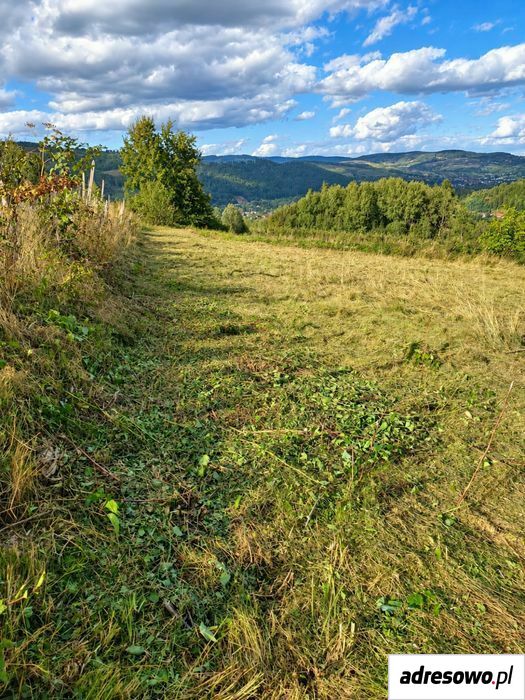 Działka budowlana Zabrzeż. Zdjęcie 2