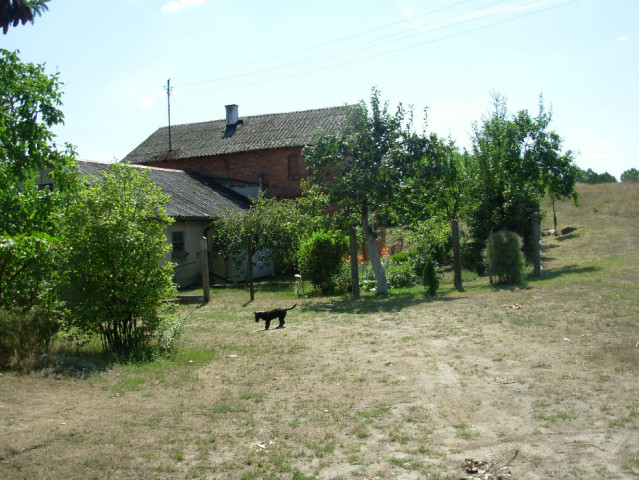 Działka rolna Pęperzyn. Zdjęcie 1