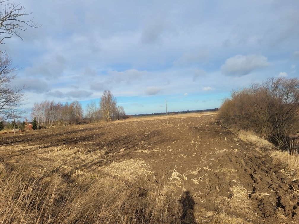 Działka rekreacyjna Chorążówka. Zdjęcie 4