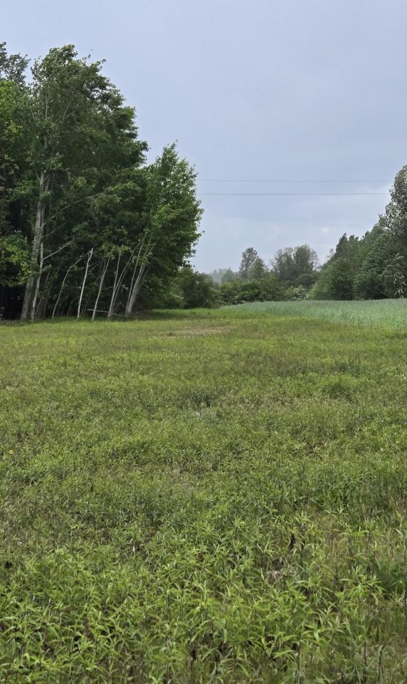 Działka rolno-budowlana Wełnin. Zdjęcie 3