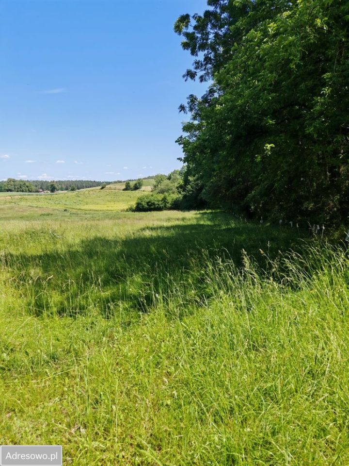 Działka rolna Dąbrówka. Zdjęcie 7