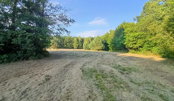 Działka budowlana Włynice