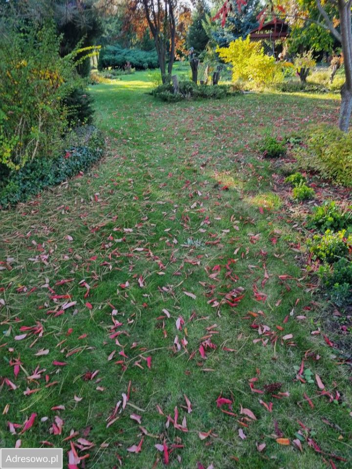 Działka rolno-budowlana Boduszyn. Zdjęcie 4