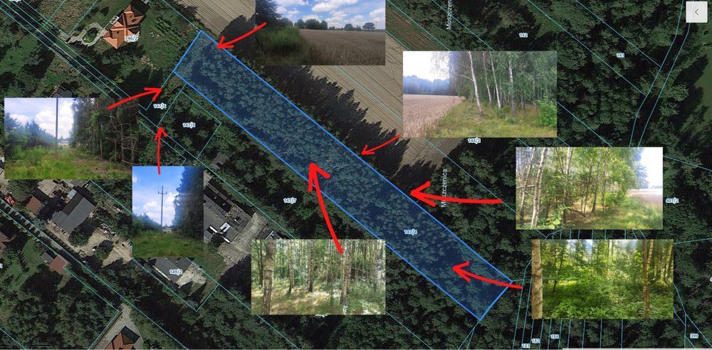 Działka rolno-budowlana Ługi. Zdjęcie 3