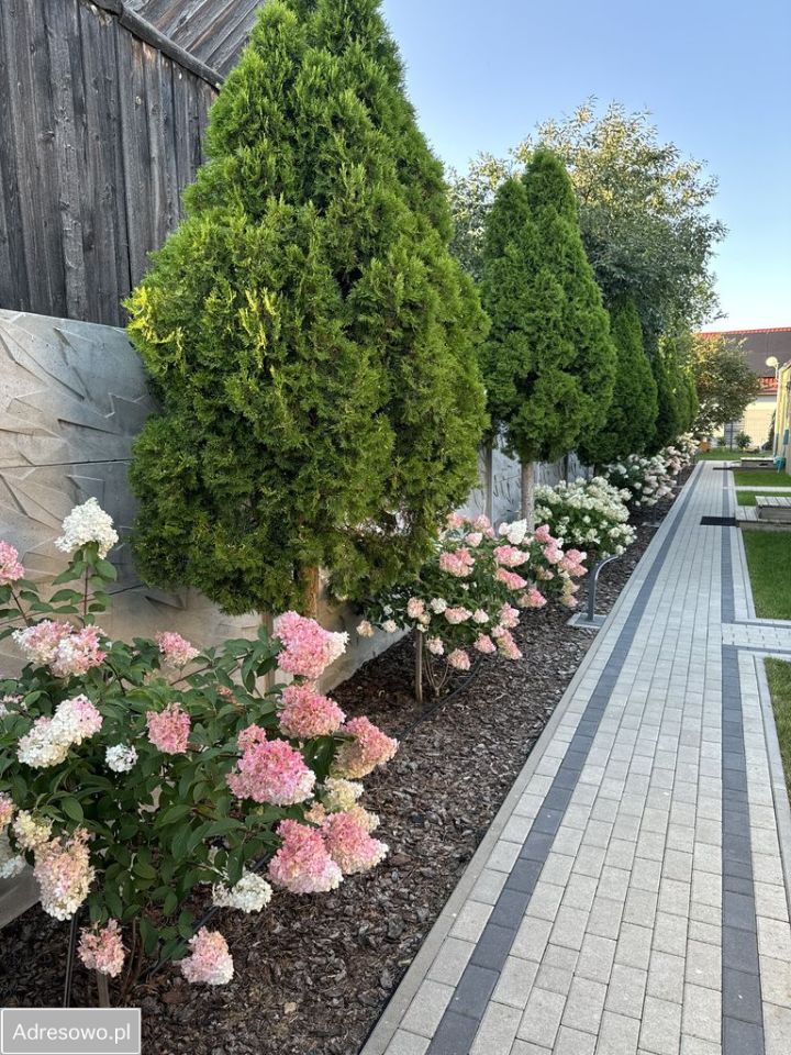 Ośrodek wczasowy Sucholaski. Zdjęcie 15