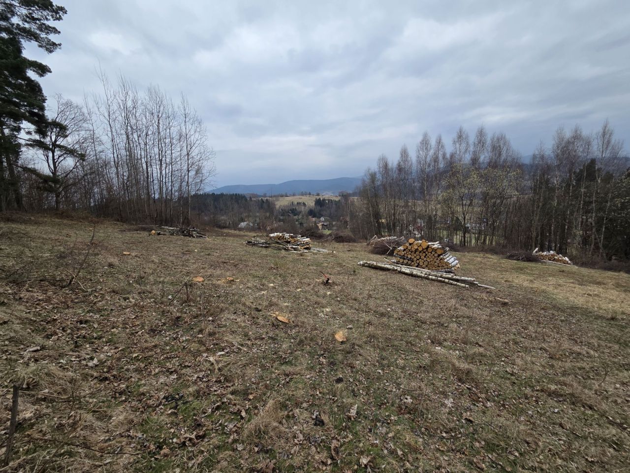 Działka rolna Kurów. Zdjęcie 8