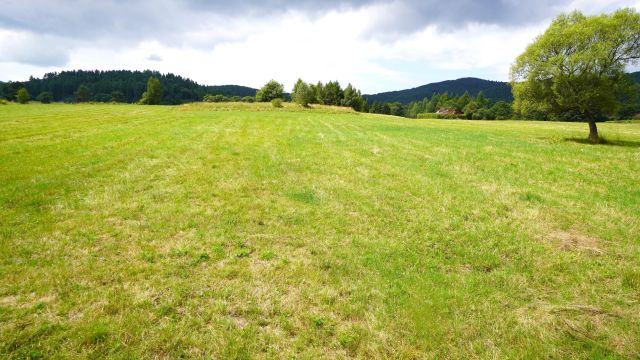 Działka budowlana Wysowa-Zdrój. Zdjęcie 3