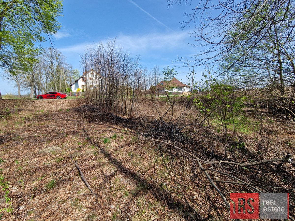 Działka rolna Stary Gieląd