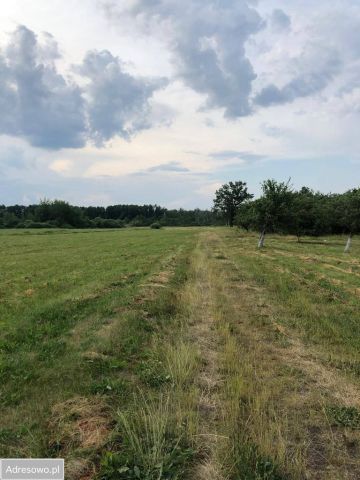 Działka budowlana Gromadka, ul. Polna. Zdjęcie 1