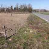 Działka rolno-budowlana Helenów. Zdjęcie 3