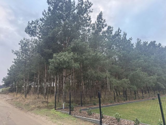 Działka budowlana Nowa Wieś. Zdjęcie 1