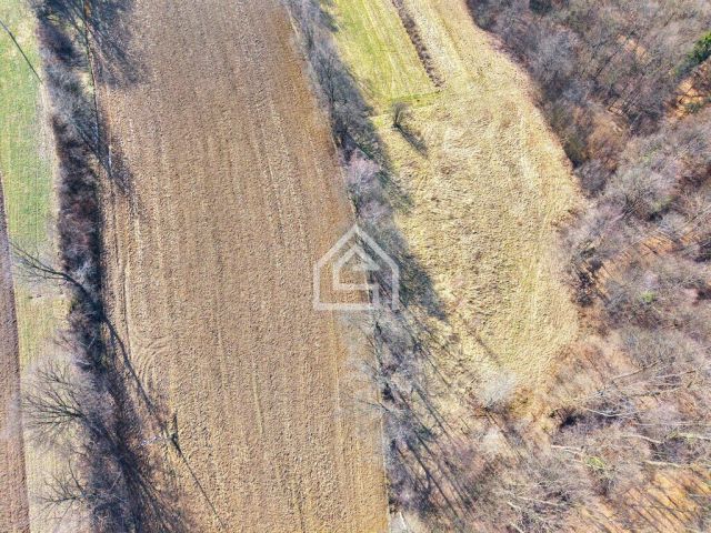 Działka inwestycyjna Trzciana. Zdjęcie 5