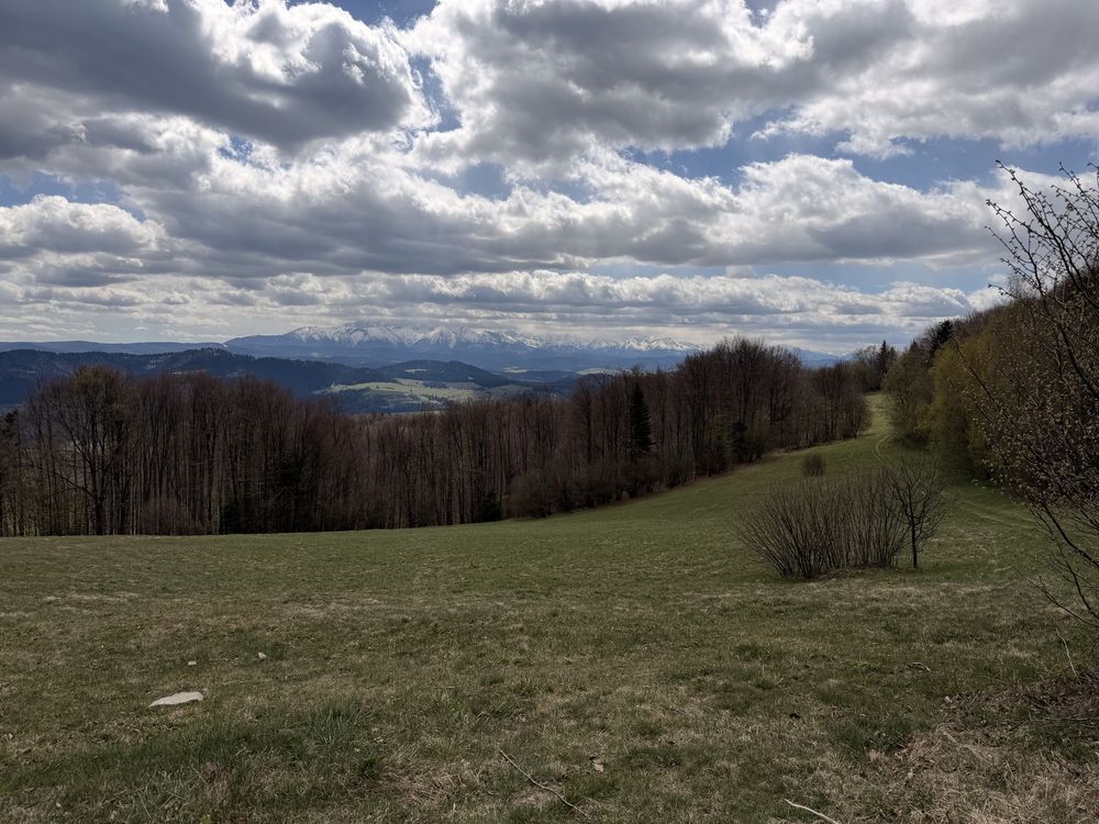 Działka rekreacyjna Grywałd. Zdjęcie 7