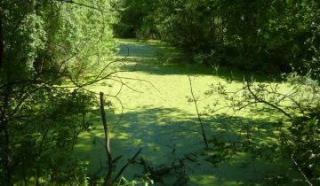 Działka inna Pomiłowo