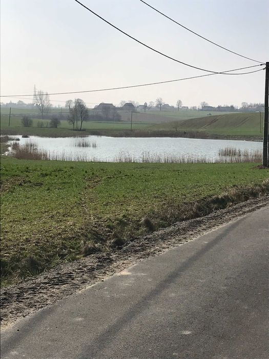 Działka budowlana Kończewice. Zdjęcie 3