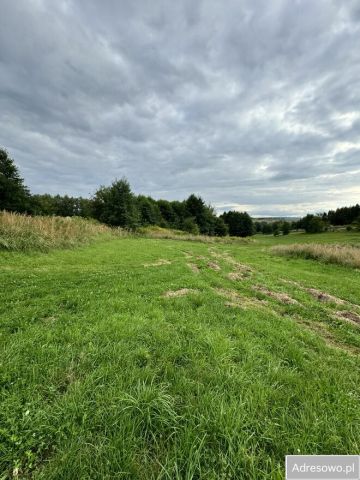 Działka rolna Racławówka. Zdjęcie 1