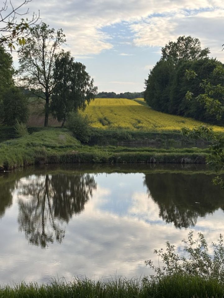 dom wolnostojący, 8 pokoi Bielany. Zdjęcie 8