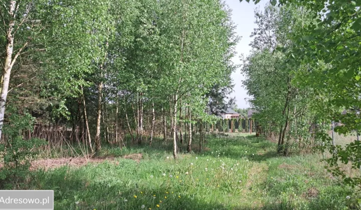 Działka rekreacyjna Omin