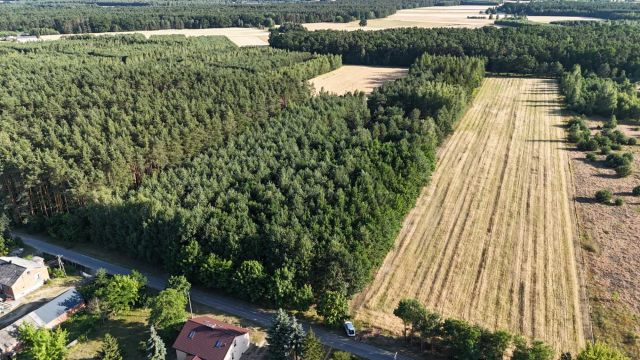 Działka leśna Sławczyn. Zdjęcie 1