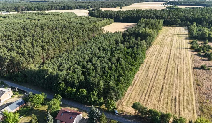 Działka leśna Sławczyn