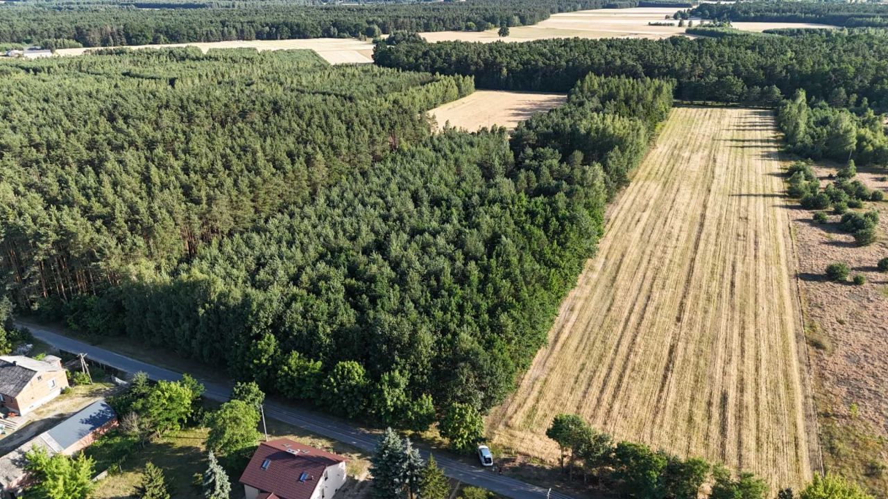 Działka leśna Sławczyn