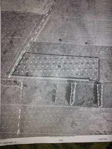 Działka rolna Kruszyniany. Zdjęcie 1